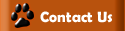 Contact Information
