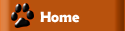 Main Page